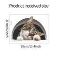 Guide de dimensions détaillé pour sticker chat 3D montrant la taille réelle de 29x21 cm - 21*29cm / Chat Tigré (MG-M007)