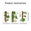 Vue détaillée des autocollants muraux plantes 3D réalistes avec dimensions de taille - Lot de 3 Pièces (27x39cm)(MG-F040)