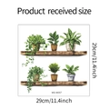 Detalle de vinilos decorativos 3D con estantes de plantas y texturas de madera real - 29*29cm/MG-M057