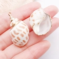 Pendaglio in conchiglia naturale placcata oro con dettagli per creazione gioielli DIY - Conchiglia Babylonia Naturale Galvanizzata (25318)