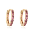 Detailed close-up of golden hoop earrings with pink round-cut cubic zirconia stones - Gold Rose Red Rhinestone