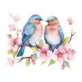 Illustrazione dettagliata ad acquerello di uccelli blu e fiori di ciliegio adesivi - 24*29cm/HY-M016