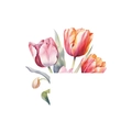 Dettaglio di adesivi murali tulipani acquerello con arte floreale rosa e arancio - Tulipano (HY-KG019) / 14.5x15cm