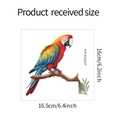 Detailed size specifications for parrot wall sticker measuring 16.5cm by 16cm in total - Macaw Style (HY-KG037) / 16.5*16cm