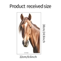 Detailed size specifications for 38x22cm realistic brown horse head wall sticker decal - 22x38cm
