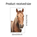 Detailed size specifications for a self-adhesive cartoon horse wall sticker for kids' rooms - 22*38cm/HY-F033uv