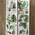 Dettaglio di adesivi murali Monstera e cactus con citazioni su pavimento in legno - 30*90cm (FX-C33)