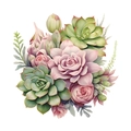 Detalle de pegatinas de pared de suculentas tropicales con diseño de rosas rosas - Estilo Combo Suculento (HY-M005)