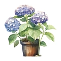 Vinilo decorativo detallado de hortensias en maceta para decoración de pared de hogar - Hortensia en Maceta (HY-M013) / 27*29CM