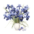 Detalle de vinilo decorativo de iris azul en acuarela con jarrón sobre fondo blanco - 29*29cm/HY-M010
