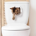 Adesivo murale 3D gatto soriano marrone realistico decorazione creativa per WC - Gatto Tigrato che Sbircia con la Zampa (FX02)