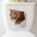 3D cat toilet wall sticker featuring a cute brown tabby kitten peeking out of a white wall - Tabby Kitten Peeking from Hole (FX03)