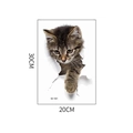 Dimensioni dettagliate dell'adesivo murale gatto 3D che mostrano la misura 30 cm x 20 cm - 20x30cm (Articolo M-181)