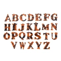 Set of 26 tortoise shell acrylic alphabet pendants for DIY jewelry and bag charms - Set of 26 Alphabet Letters / Leopard Print