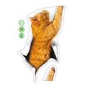 3D Realistischer rot getigerte Katze Wandsticker PVC Aufkleber für Auto oder Kühlschrank - 20*30cm Layout
