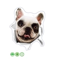 Pegatina de pared 3D Bulldog Francés MG11 con cara realista sobre fondo blanco puro - Diseño de 20*30cm