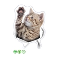 3D realistic tabby cat peeking from a ripped hole sticker DIY wall and car decor - Waving Tabby Kitten Style (MG14) / 20*30cm Layout