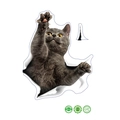 Sticker mural 3D chat British Shorthair réaliste avec adhésif amovible en PVC MG10 - 20*30CM/MG10