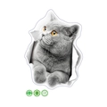 3D Wandtattoo mit grauer britischer Kurzhaarkatze im Loch-Design aus PVC MG12 - Britisch Kurzhaar Katze Stil (MG12)