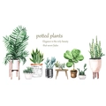 Watercolor succulent plants wall stickers with potted greenery designs for home decor - 30x90cm x 2pcs Layout