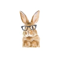 Détail d'un lapin aquarelle avec lunettes sur un autocollant mural autocollant - 26x46.4cm