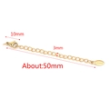 5cm gold vacuum plated stainless steel extender chain with lobster clasp for jewelry DIY - 10mm Clasp / Gold - Logo Oval Tag
