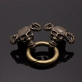 Macro-opname van gotische bronzen schedel met ramshoorns en ringconnector detail - Kleine Ramshoorn Schedel Stijl / Antiek Brons