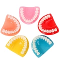 Set of five colorful realistic tooth pendants in pink red yellow blue and orange resin - Multicolor
