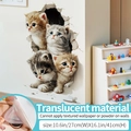 3D realistic kitten wall decal 27x41cm made of translucent material for home decor - Cat Affinity (Translucent) / Medium