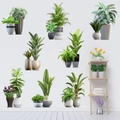 Pegatinas de pared 3D plantas verdes realistas para decoración de salón y dormitorio - Juego De 8 Patrones (KSY214)