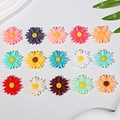 Ciondoli a forma di margherita in resina colorata per gioielli fai da te e hobby - Grande / Multicolore