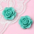Nahaufnahme von 18mm minzgrünen Harzrosen für DIY-Schmuck und Haarschmuckzubehör - Rosa und Grün