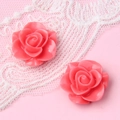 Makroaufnahme von zwei 18mm rosa Harz-Rosen-Cabochons für DIY-Schmuck und Haarschmuck - Fuchsia