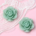 Makroaufnahme von zwei hellgrünen Harzrosen auf elegantem weißem Spitzenhintergrund - Babyblau