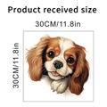 Λεπτομέρεια αυτοκόλλητου τοίχου Cavalier King Charles Spaniel μεγέθους 30x30cm - Στυλ Cavalier King Charles Spaniel (KSA64A) / 30x30cm σε Σακούλα