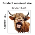 Detail showing 30x30cm Highland Cow wall sticker with dimensions for home decor - KSA70I-30X30CM