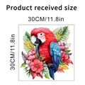 Detail showing the parrot wall sticker's received dimensions at 30cm by 30cm size - Parrot Floral Style C (KSY234C)