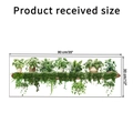 Detailweergave van de 90x30cm groene potplanten muursticker met afmetingen en maten - KSG26A (30*90CM)