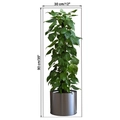Dimensiones detalladas del pothos artificial de 90cm en maceta plateada con altura y anchura - KSA7D Estilo Potos / 30x90cm
