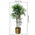 Dettaglio di pianta artificiale verde con vaso intrecciato dorato e misure del prodotto - Confezione in Sacco da 35*60CM