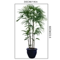 Guida alle dimensioni del wall sticker pianta verde con scala di altezza di 60 cm - Confezione in Sacco da 35*60CM