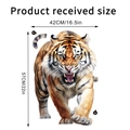 Dimensions de l'autocollant mural tigre rugissant mesurant 42cm par 57cm - Posture de Tigre Rugissant (KSY262C)