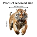 Détails des dimensions du sticker mural tigre rugissant pour la décoration de maison - Tigre Courant et Rugissant (KSY262D)