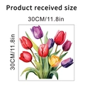 Vista dettagliata dell'adesivo murale tulipano quadrato 30x30cm con dimensioni del prodotto - Tulipano ad Acquerello Stile A (KSY275A) / 30x30cm