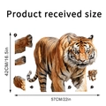 Detail view of the realistic tiger wall sticker set with precise size dimensions - Realistic Adult Tiger Strolling (KSY262G)