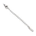 Detail of stainless steel extender chain with lobster clasp and S.STEEL logo tag - Rectangle Tag Style (YG073-1)