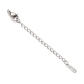 Detail of stainless steel extension chain with lobster clasp and S.STEEL engraved tag - Oval Tag Style (YG074-1)