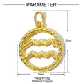 Detailed view of an Aquarius copper pendant with dimensions 20mm x 15mm and weight 1.5g - Aquarius Style(YE1360-11)