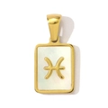 Macro detail of gold-plated Pisces zodiac pendant with white shell inlay and sleek edges - Pisces Style (YF369-12)