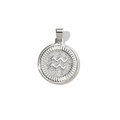 Macro shot of silver Aquarius zodiac charm with cubic zirconia and sunburst texture - Aquarius (YE039-11)